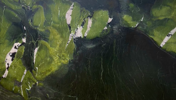 equs natural avocatus